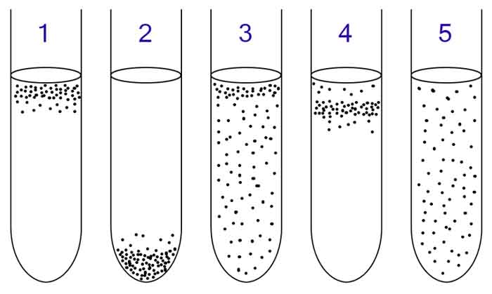 Growth Patterns of Bacteria with Different Oxygen Requirements When Growth in Liquid Media