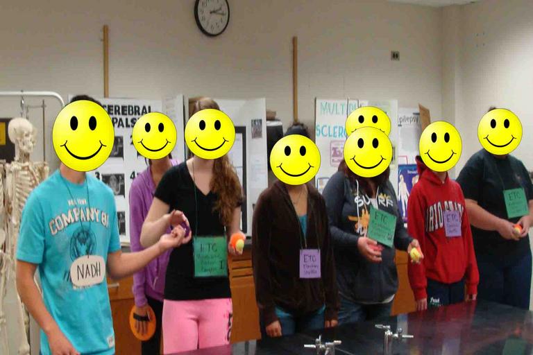 Electron Transport Chain Classroom Activity