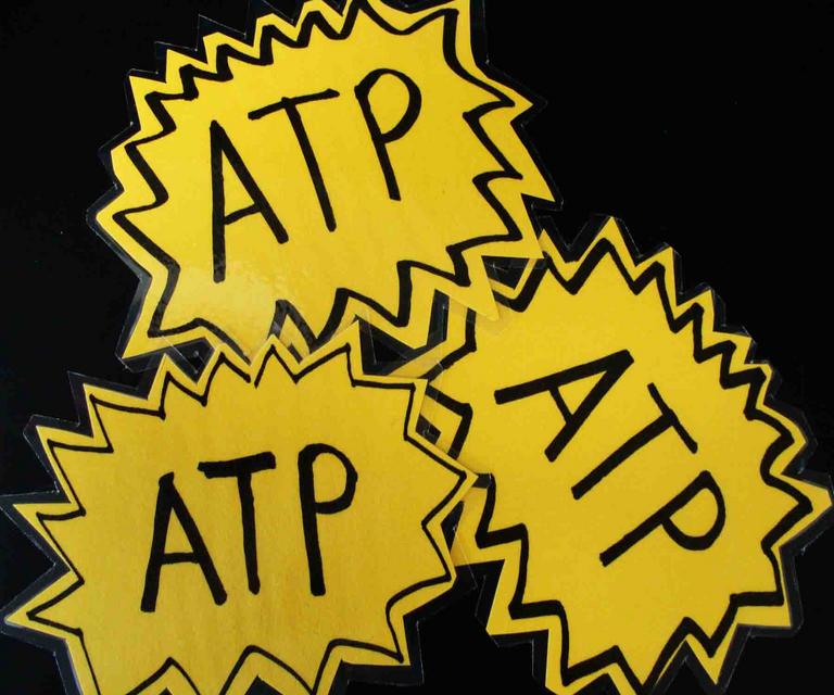 ATP for Electron Transport Chain Activity