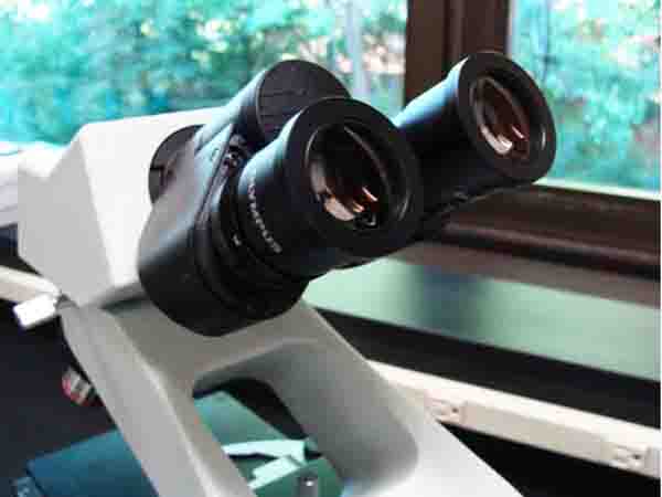 Binocular Lenses of a Compound Microscope