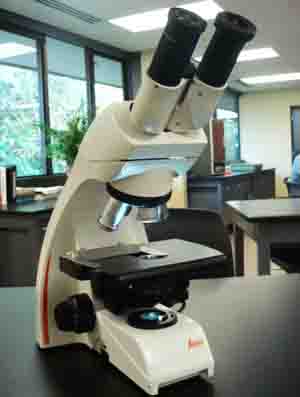 Compound Light Microscope