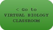 Go to the Virtual Biology Classroom