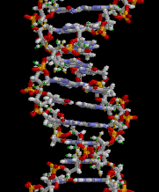 Animated Chemical Structure of DNA