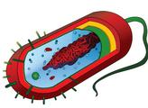 FREE Microbiology Lecture Teaching Materials