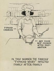 Typhoid Carrier Public Health Poster