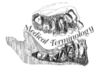 Endomembrane System Image