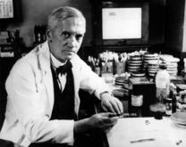 Alexander Fleming Discovered Penicillin