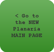 Go to PLANARIA MAIN PAGE