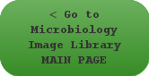 Go to Science Image Library MAIN PAGE