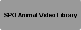 SPO Animal Video Library