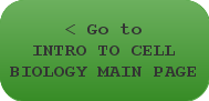 < Go to INTRO TO CELL BIOLOGY MAIN PAGE