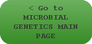 < Go to MICROBIAL GENETICS MAIN PAGE