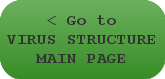 < Go to Virus Structure Main Page