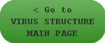 < Go to Virus Structure Main Page