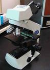 Compound Light Microscope