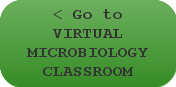 Go to VIRTUAL MICROBIOLOGY CLASSROOM