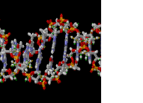 FREE Genetics Teaching Materials