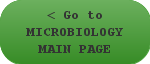 Microbiology Main Page Microbiology Main Page