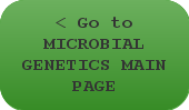 < Go to MICROBIAL GENETICS MAIN PAGE < Go to MICROBIAL GENETICS MAIN PAGE