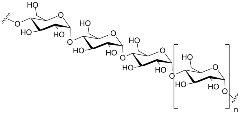 Amylose, a linear polymer of glucose can be made of several thousands of glucose units. Amylose and amylopectin are the two components of starch.