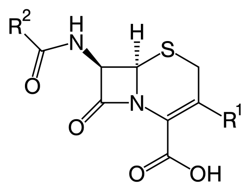 Cephalosporin core structure, where "R" is the variable group.