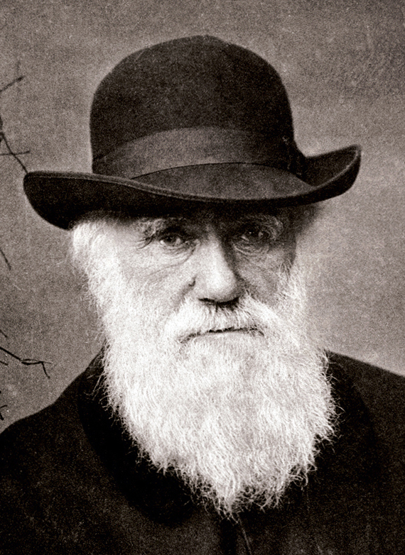 Charles Darwin ,1881,  72 years old.