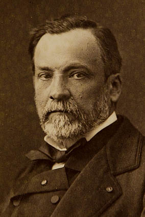 Louis Pasteur (1822-1895)