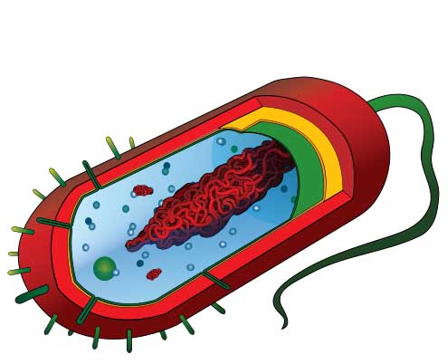 Ermahgerd Microbiology Science