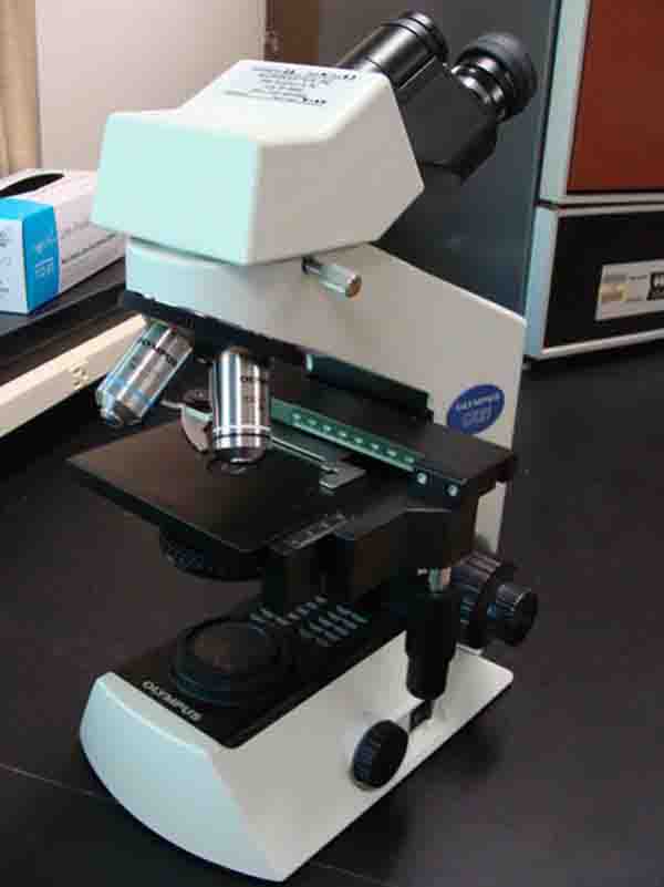 Compound Light Microscope