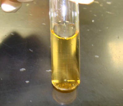 Sterile liquid bacterial growth media. Note that it is transparent, not clouded.