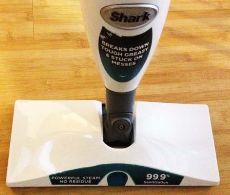 Does the Shark Professional Steam & Spray Mop Kill Bacteria on Floors?