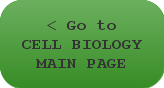 Go to Cell Biology Main Page