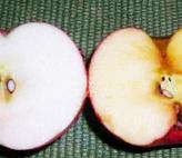 Apple on left was swabbed with lemon juice. Apple on right was not. Note accumulation of brown benzoquinone.