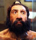 ​Neanderthal was a species of human in the genus Homo, closely related to modern humans. Neanderthals became extinct about 41,000-39,000 years ago. This coincides with a very cold period in Europe, about 5,000 years after Homo sapiens reached the continent.