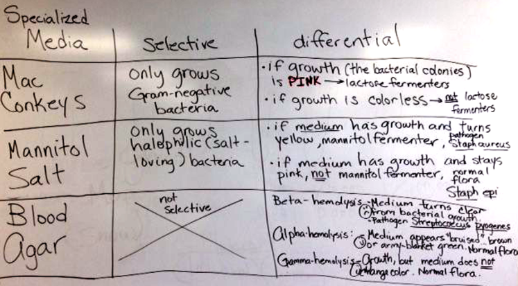 Study Aid Table of Specialized Selective and Differential Bacterial Growth Media