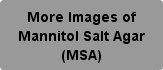 More Images of Mannitol Salt Agar (MSA)Button