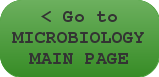 Microbiology Main Page