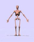 Anatomical Planes Human Body