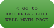 < Go to BACTERIAL CELL WALL MAIN PAGE