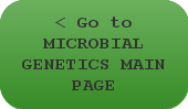 < Go to MICROBIAL GENETICS MAIN PAGE