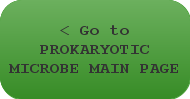 < Go to PROKARYOTIC MICROBE MAIN PAGE