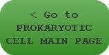 < Go to PROKARYOTIC CELL MAIN PAGE