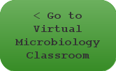 Go to Virtual Microbiology Classroom Main